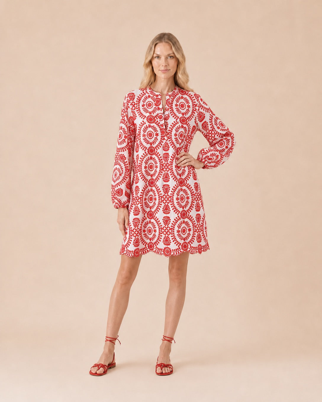 Embroidered Print V-Neck Mini Dress Front View in Red